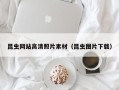 驻马店昆虫网站高清照片素材（昆虫图片下载）
