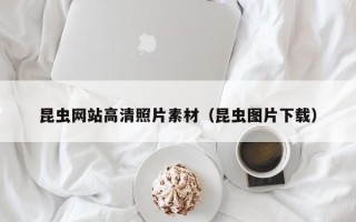 驻马店昆虫网站高清照片素材（昆虫图片下载）